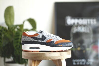 Nike Air Max 1 What the Safari