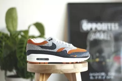 Nike Air Max 1 What the Safari