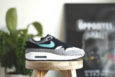 Nike Air Max 1 Elephant Retro