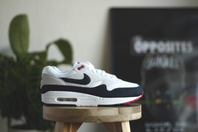 Nike Air Max 1 Anniversary Obsidian