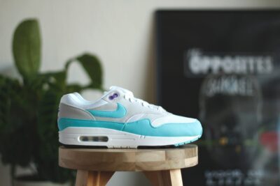Nike Air Max 1 Anniversary Aqua