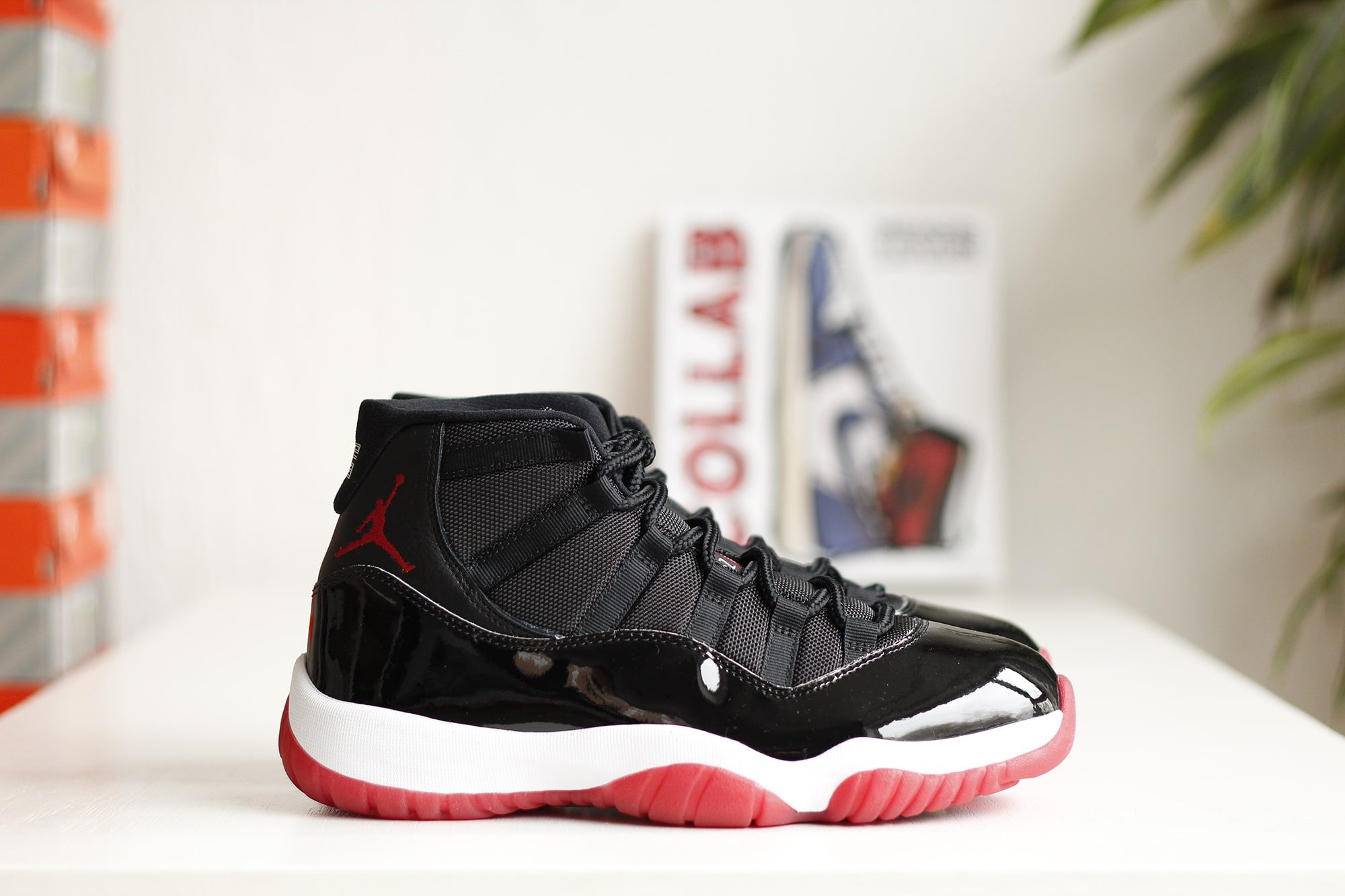 bred xi 2019
