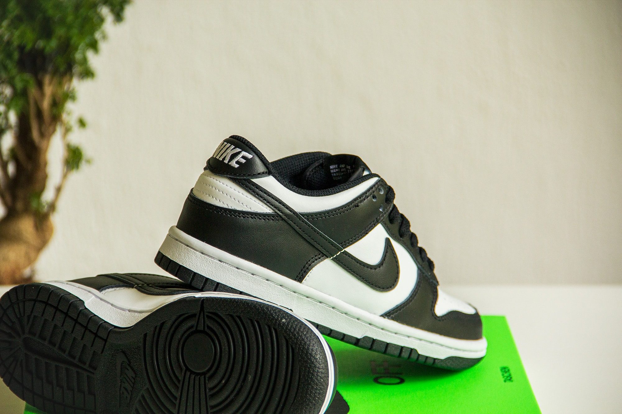 Nike Dunk Low White Black (GS) CW1590-100 Slick Sneakers - Main Image