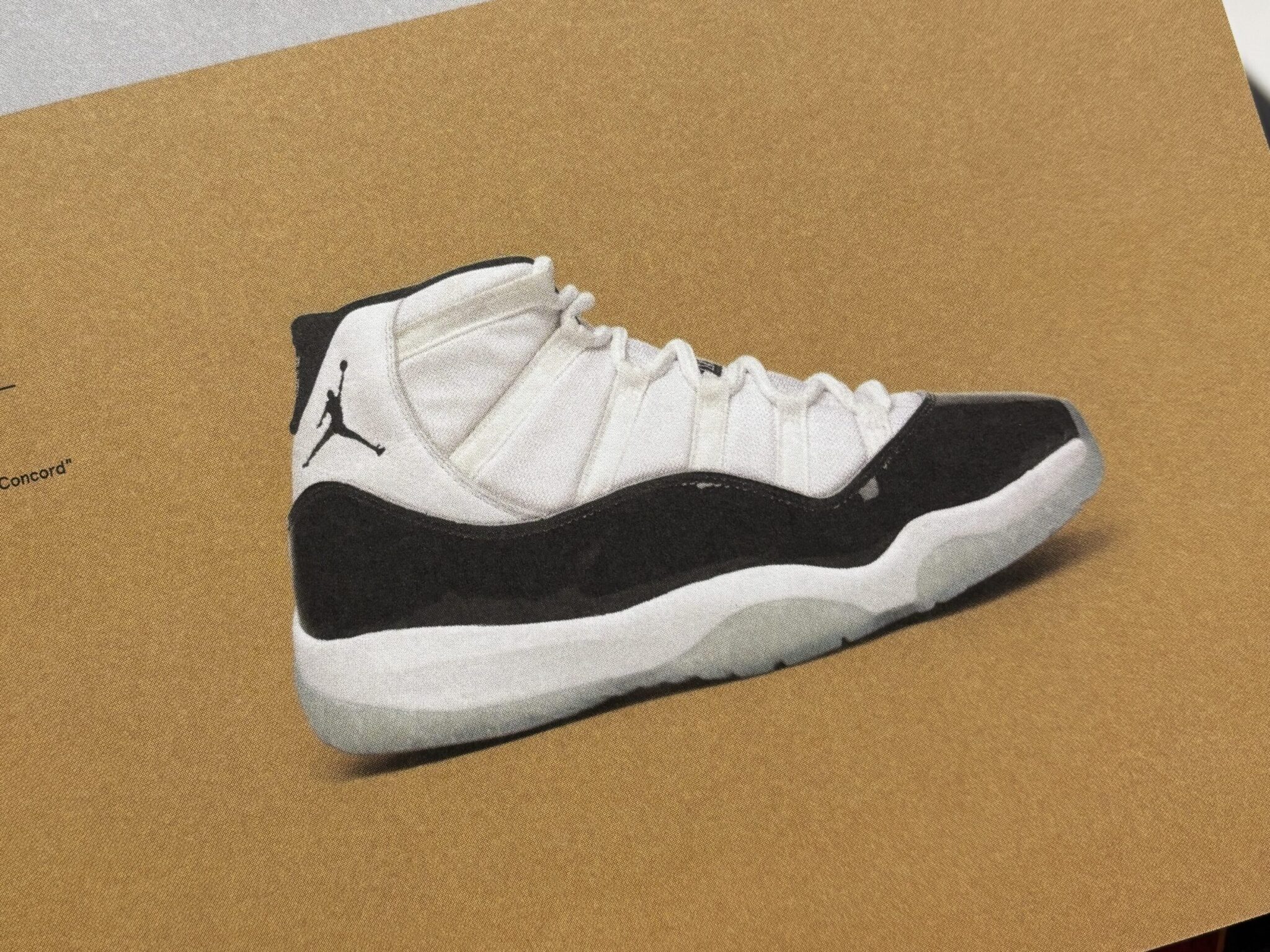 Nike Air Jordan 11 Concord