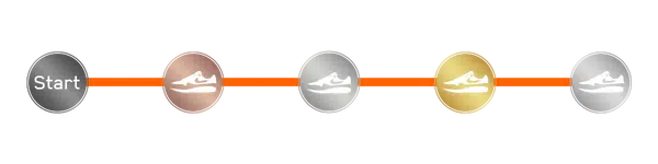 niveaus loyaliteitsprogramma badges