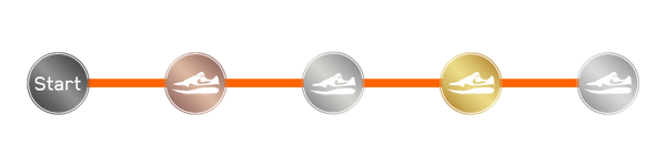 niveaus loyaliteitsprogramma badges