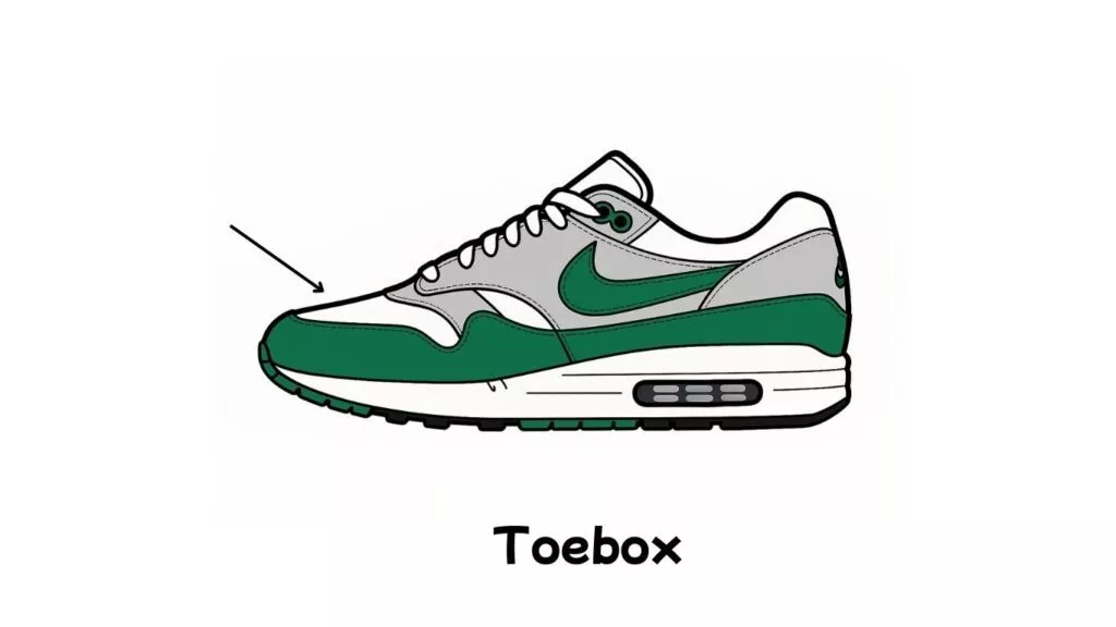 Anatomie van een sneaker, toebox
