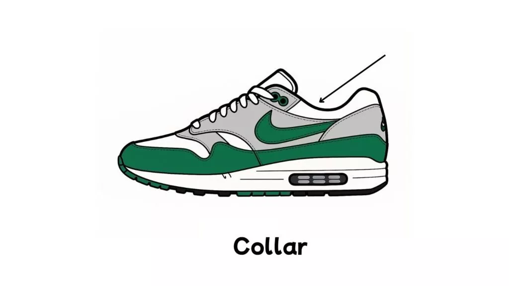 Anatomie van een sneaker, collar